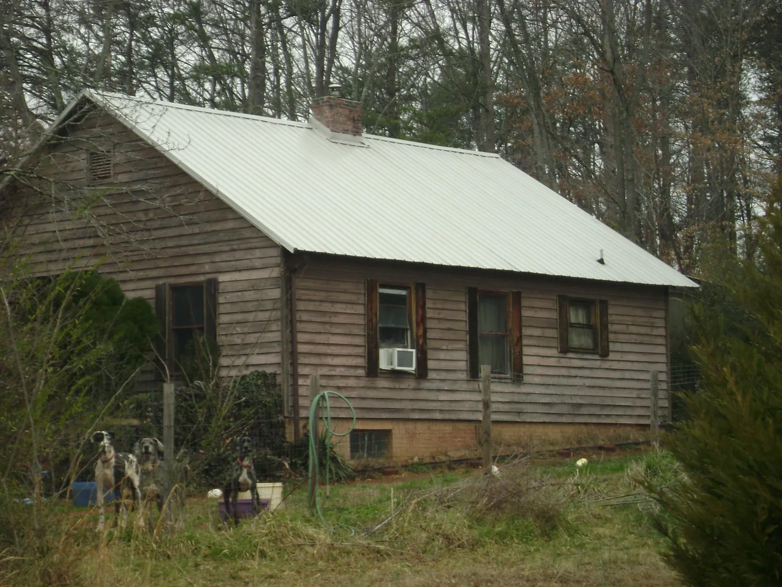 White metal roof on an old wood sided farmhouse, from a Asphalt Shingle Roof Repair job in North Scituate